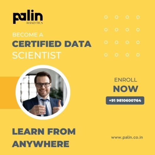 Become a Certified Data Scientist – Palin Analytics