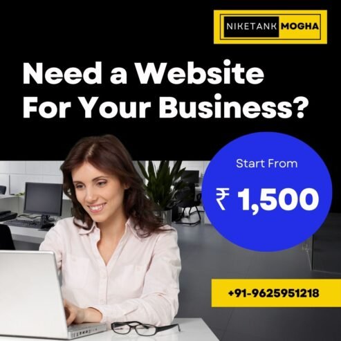 Freelance Website Designer in Delhi