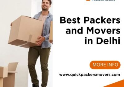 Best-Packers-and-Movers-in-Delhi