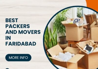 Best-Packers-and-Movers-in-Faridabad