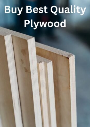 Best Plywood Manufacturers In Delhi NCR