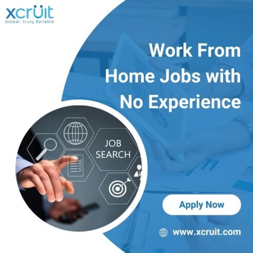 Work From Home Jobs no Experience