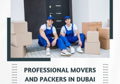 Professional-Movers-and-Packers-in-Dubai