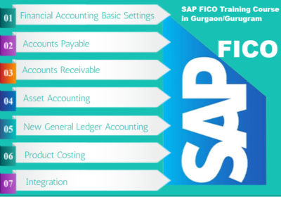 SAP-Fico-India