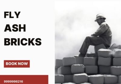 fly-ash-bricks-