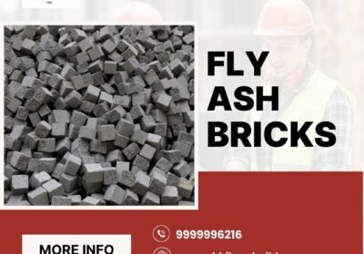 fly-ash-bricks-manufacturing-1