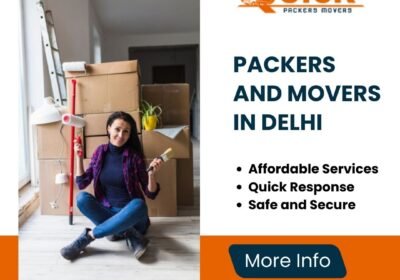 Best-Packers-and-Movers-in-Delhi
