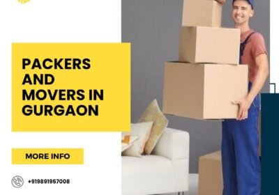 Best-Packers-and-Movers-in-Gurgaon-11