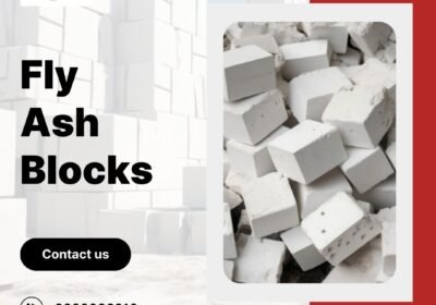 Fly-Ash-Blocks