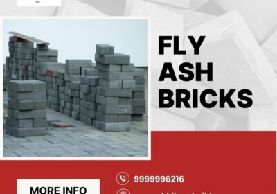 Fly-ash-Bricks-10