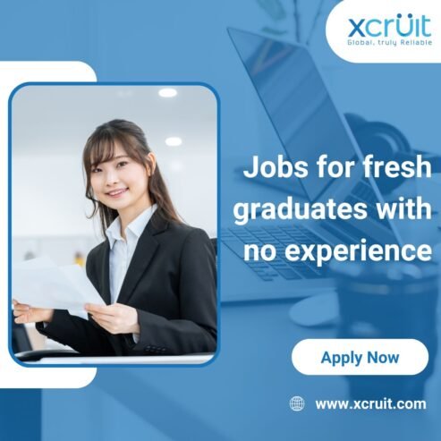 Jobs for fresh graduates with no experience