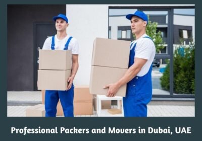 Professional-Packers-and-Movers-in-Dubai-UAE