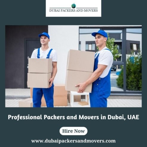 Professional Packers and Movers in Dubai, UAE