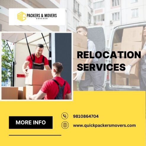 Streamline Your Move with Professional Relocation Solutions