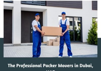 The-Professional-Packer-Movers-in-Dubai-UAE-1