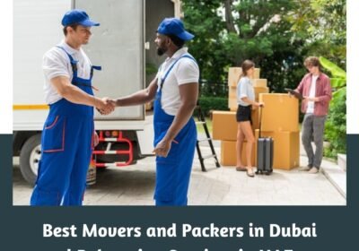 Best-Movers-and-Packers-in-Dubai-Relocation-Services-in-UAE