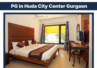 PG-in-Huda-City-Center-Gurgaon