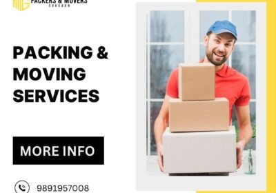 Packing-Moving-services