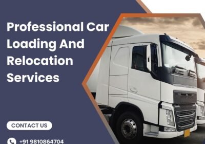 Professional-Car-Loading-And-Relocation-Services-1