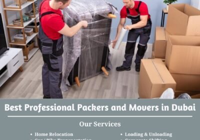 Best-Professional-Packers-and-Movers-in-Dubai