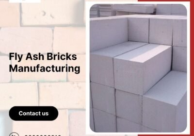 Fly-Ash-Bricks-Manufacturing