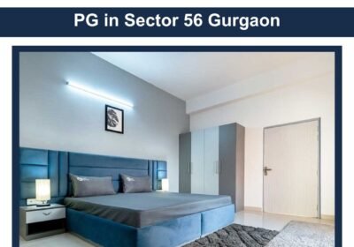 PG-in-Sector-56-Gurgaon-2