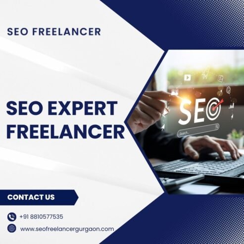 SEO Expert Freelancer