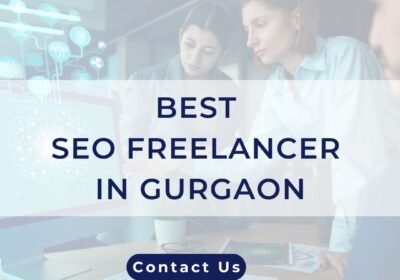 SEO-Freelancer-Gurgaon12