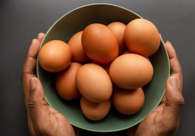egg