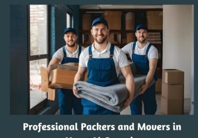 Professional-Packers-and-Movers-in-Umm-Al-Quwain