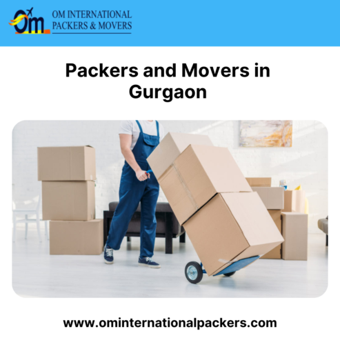 Professional Packers and Movers Gurgaon