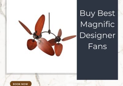 Buy-Best-Magnific-Designer-Fans