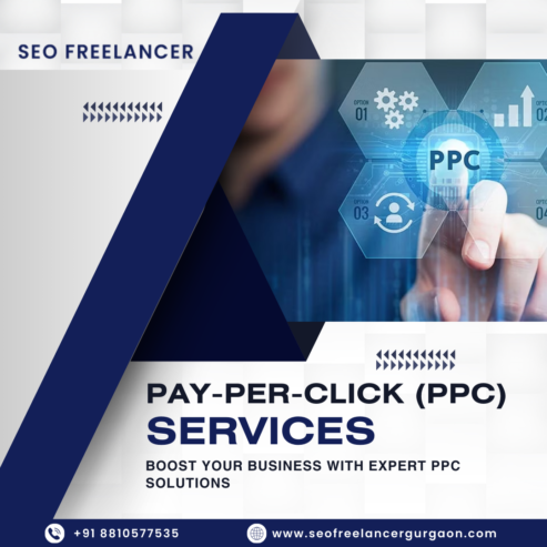 Top Freelancer PPC Expert in Delhi for Your Business Growth