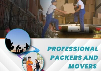 Professional-Packers-and-Movers-1