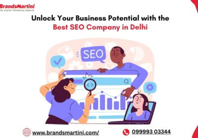 Unlock-Your-Business-Potential-with-the-Best-SEO-Company-in-Delhi