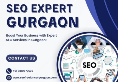 seo-expert-in-gurgaon-1