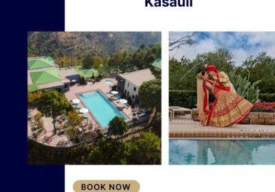 Best-Destination-Wedding-Kasauli
