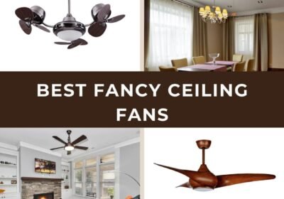 Best-Fancy-Ceiling-Fans