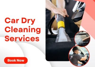 Car-Dry-Cleaning-Services