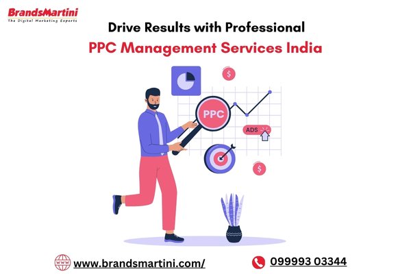 Drive Results with Professional PPC Management Services India