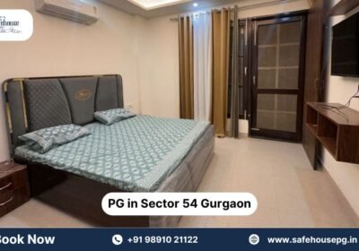 PG-in-Sector-54-Gurgaon