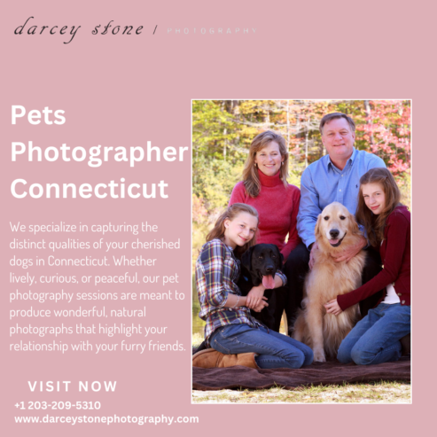 Pets Photographer Connecticut – The Secret to Stunning Pet Photos