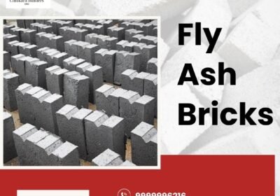 Fly-Ash-Bricks