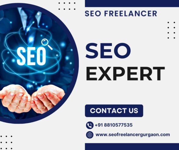 SEO Expert in Gurgaon: Help Your Website Reach the Top!