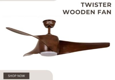 Twister-Wooden-Fan