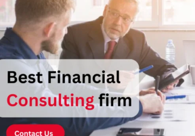 Best-Financial-Consulting-firm-2-493×493-1