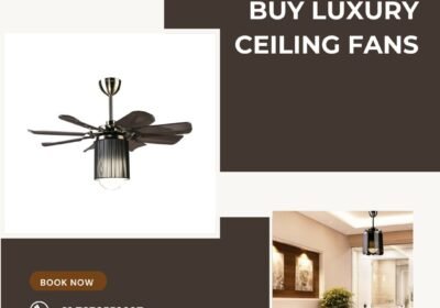 Luxury-ceiling-fans