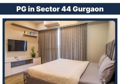 PG-in-Sector-44-Gurgaon