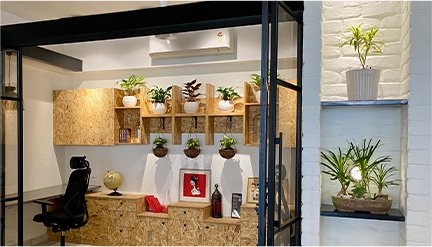 Rent Plants in Gurgaon with Garden On Hire for a Greener Space