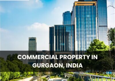 Commercial-Property-in-Gurgaon-India